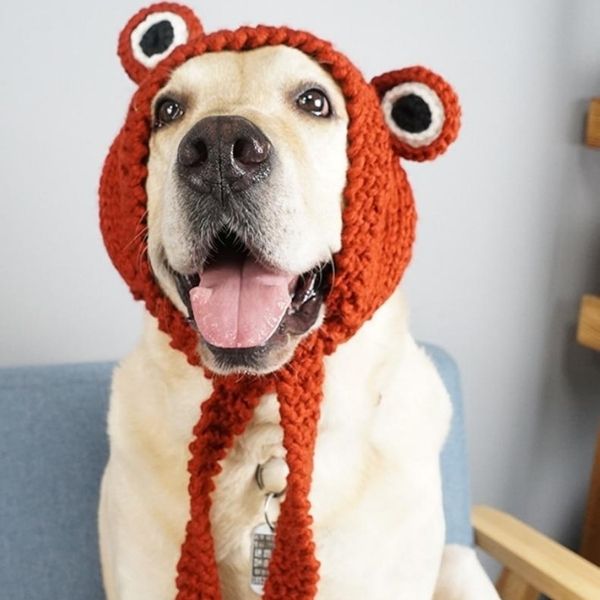 Bonnet pour Chien au Tricot XL