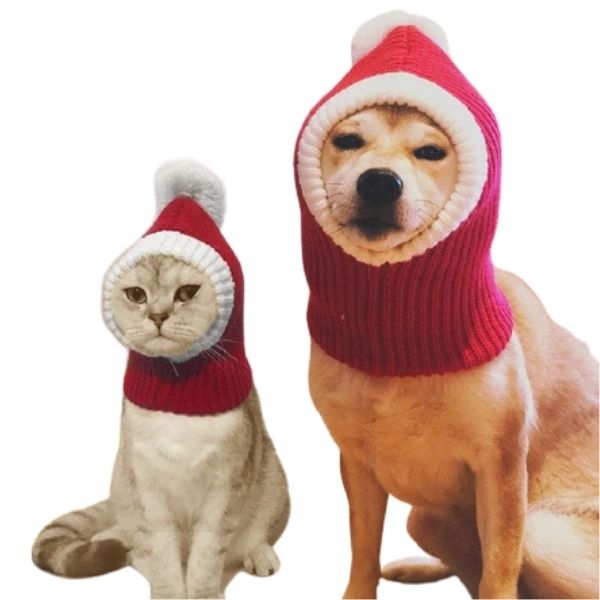 Chapeau de Noël pour Chat