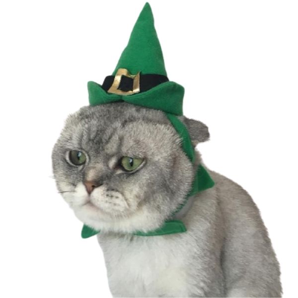 Chapeau pour Chat Sorcière de la Nuit