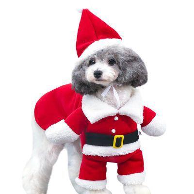 Bonnet de Père Noël pour Chien | Bob Nation