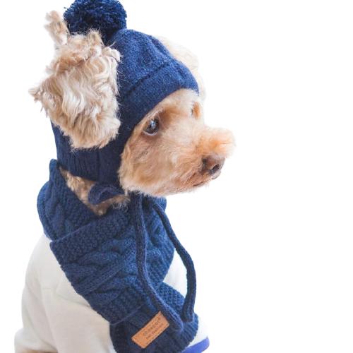 Bonnet en Laine pour Chien | Bob Nation