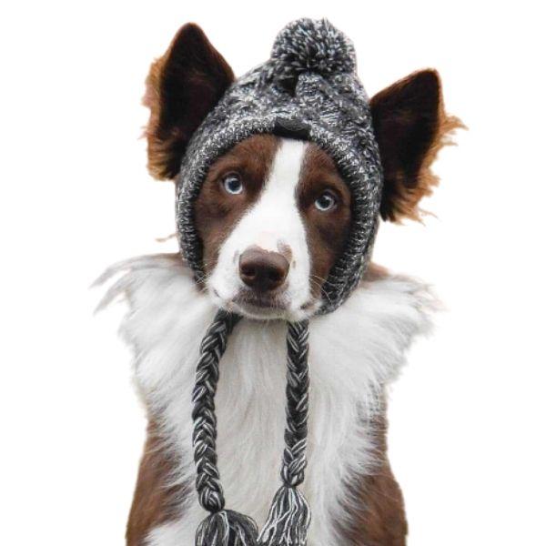 Crochet Drops Design Manteau Pour Chien Patron Tricot Pour Chien