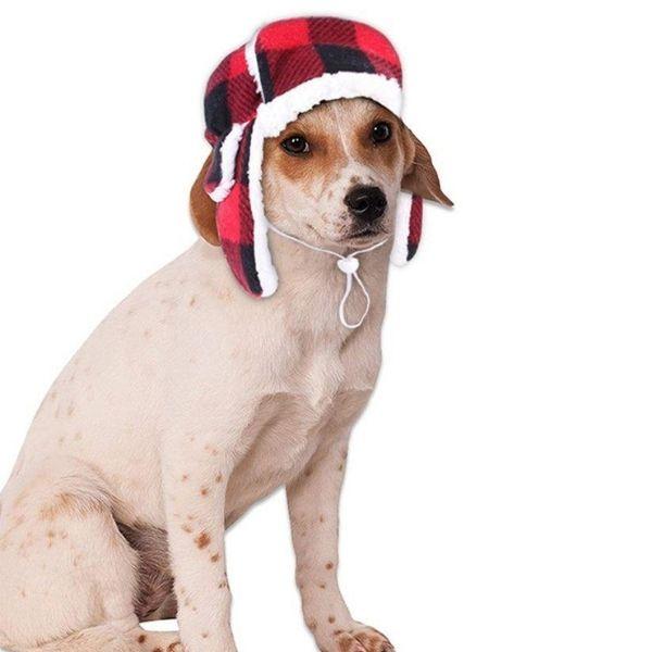 Bonnet pour Gros Chien | Bob Nation