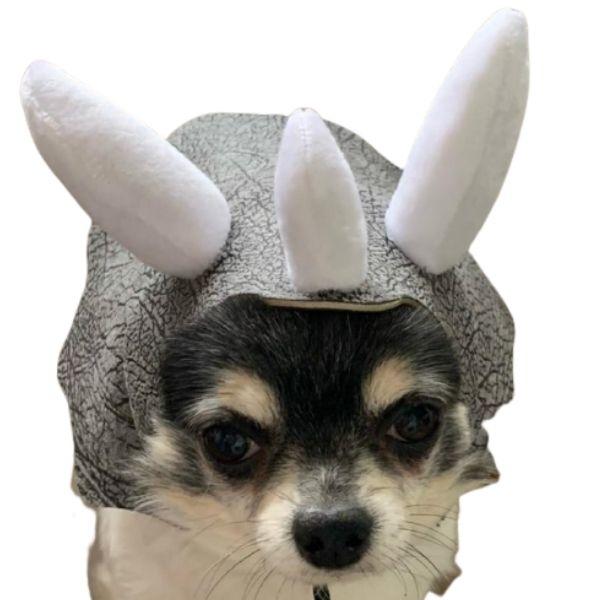 Bonnet pour Petit Chien | Bob Nation