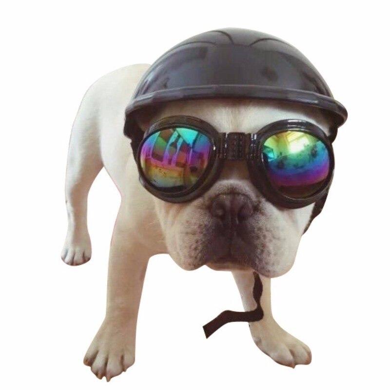 Casquette et Lunettes pour Chien | Bob Nation