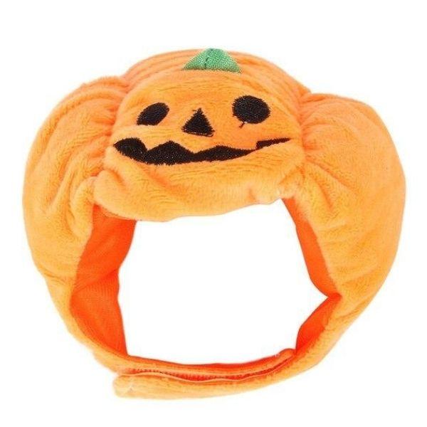 Chapeau de Fête pour Chien | Bob Nation