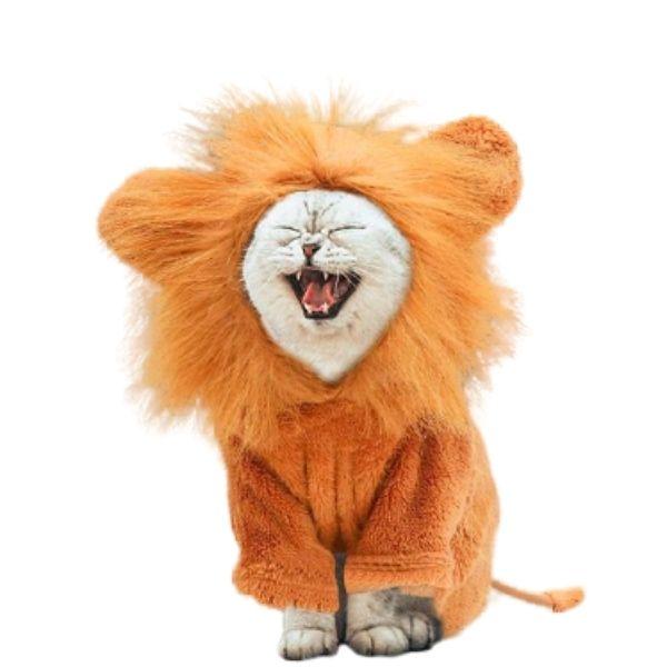 Chapeau Lion pour Chat | Bob Nation