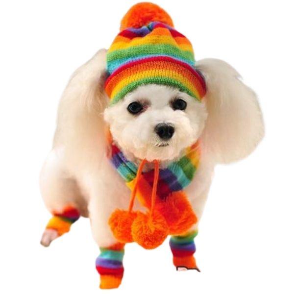 Chapeau pour Chien au Crochet | Bob Nation