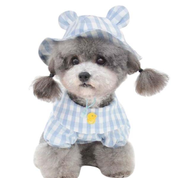 Chapeau pour Chien Pas Cher | Bob Nation