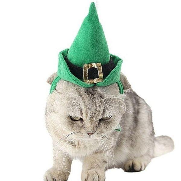 Chapeau Sorcière pour Chat | Bob Nation