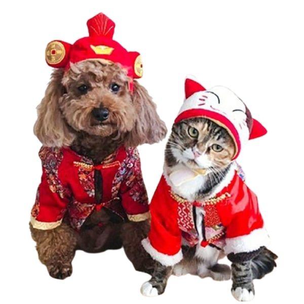 Japonais Chapeau Chat | Bob Nation