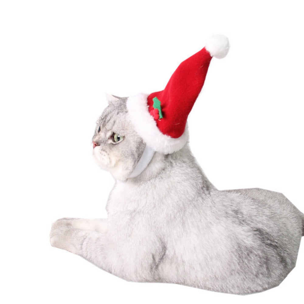 Bonnet pour Chat Mère Noël