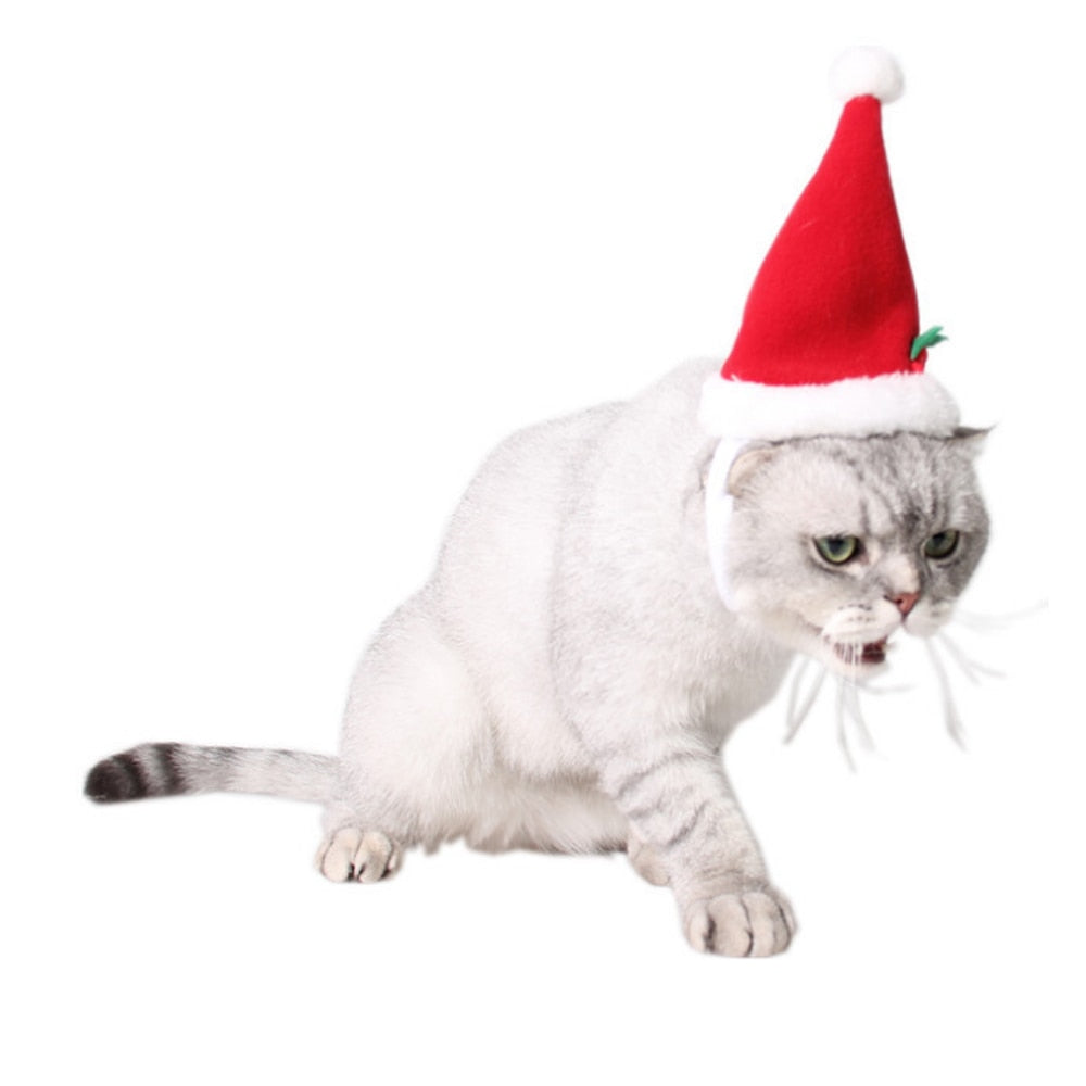 Bonnet pour Chat Mère Noël