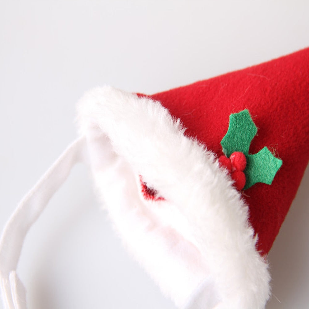 Bonnet pour Chat Mère Noël