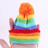 Chapeau pour Chat Hiver Coloré (chapeau + écharpe + chaussettes)