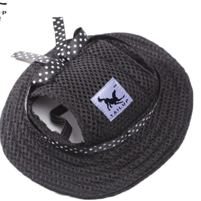 Chapeau pour Chat Streetwear Tendance