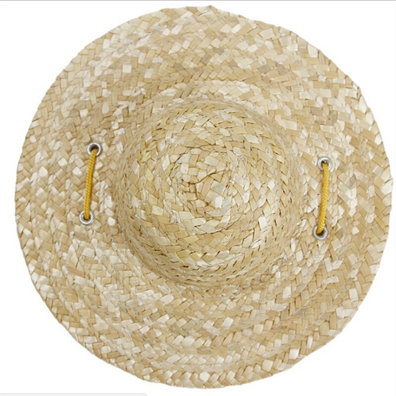 Chapeau pour Chien Paille Tropical