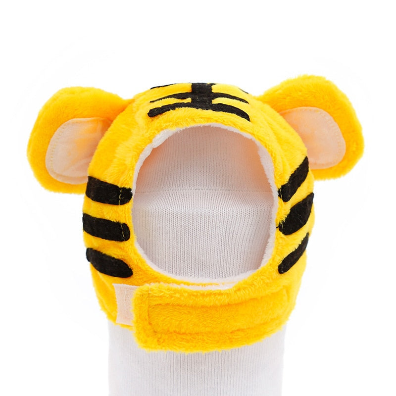 Bob pour Chat Mignon