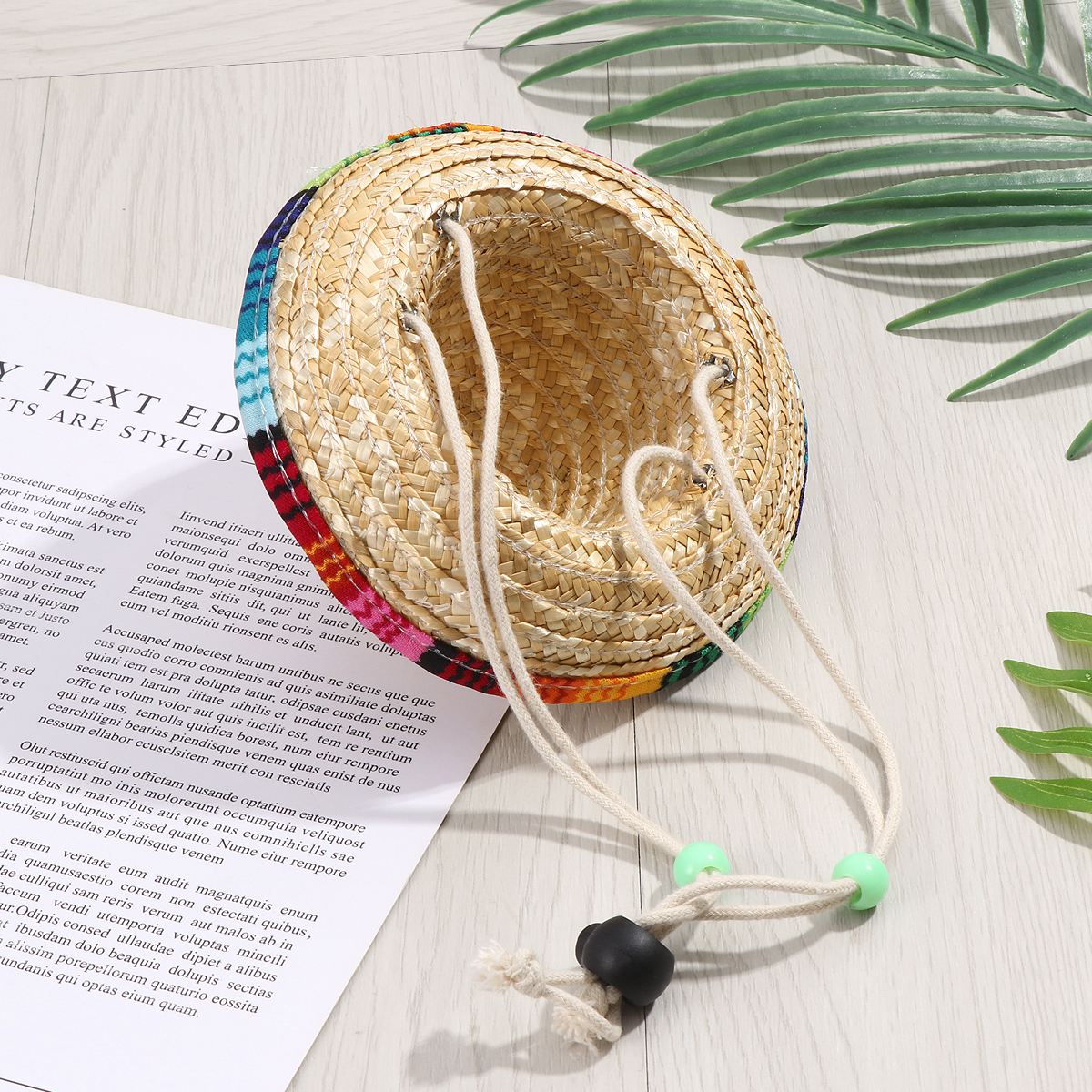 Chapeau pour Chien Sombrero Mexicain