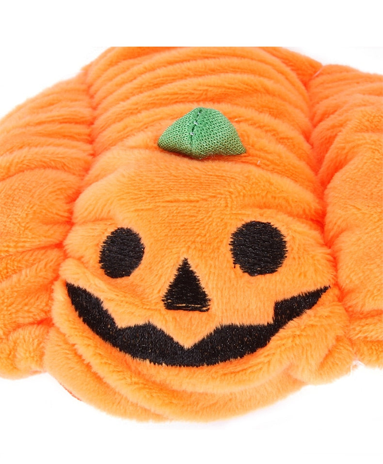 Chapeau pour Chien Citrouille Fêtarde