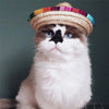 Chapeau pour chat Été Mexicain