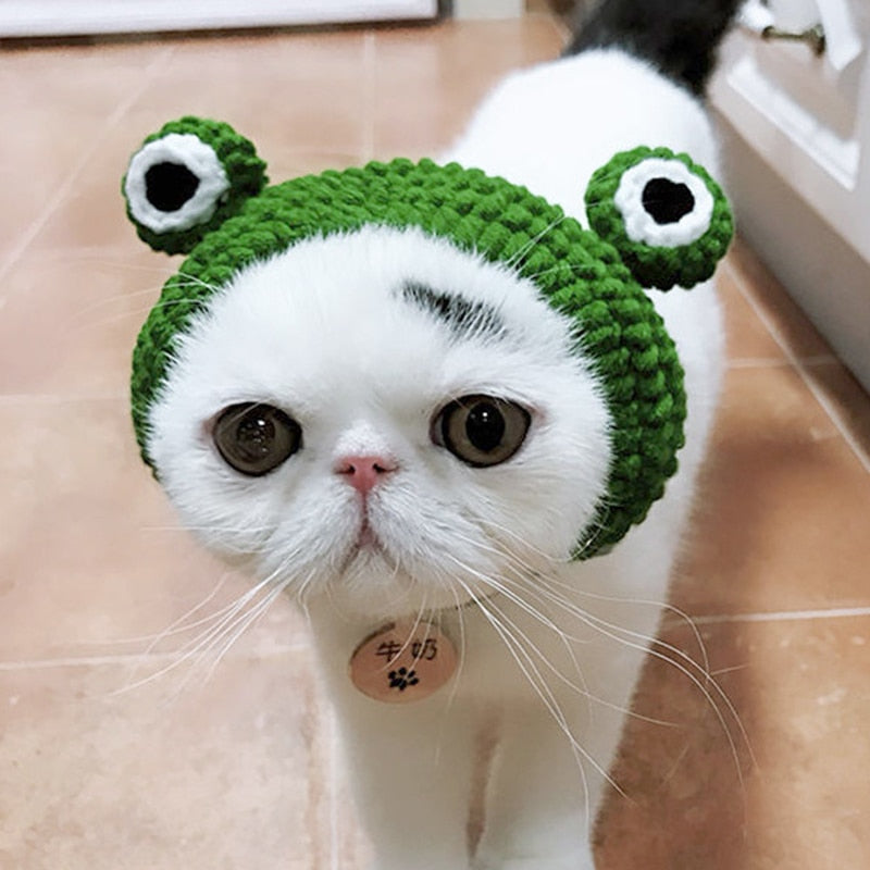 Bonnet chat : Les plus beaux chapeaux pour l'hiver - Chatcripant