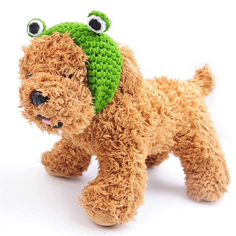 Bob pour Chien au Crochet Yeux Verts