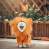 Chapeau pour Chat Lion Intégral