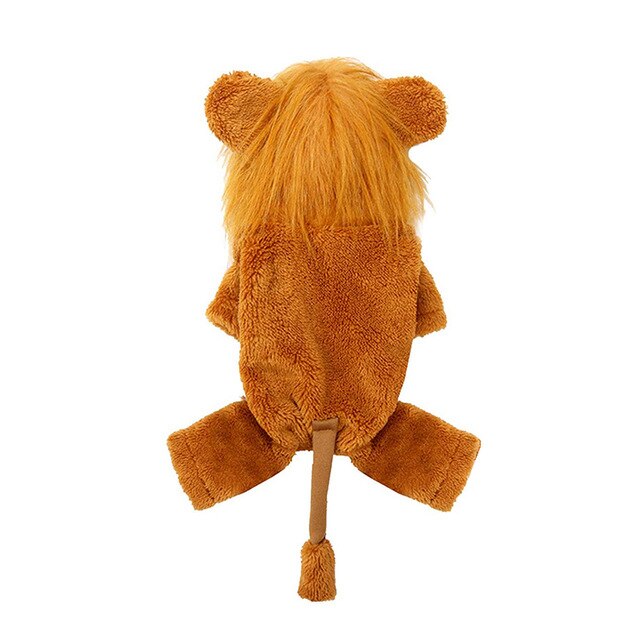 Chapeau pour Chat Lion Intégral