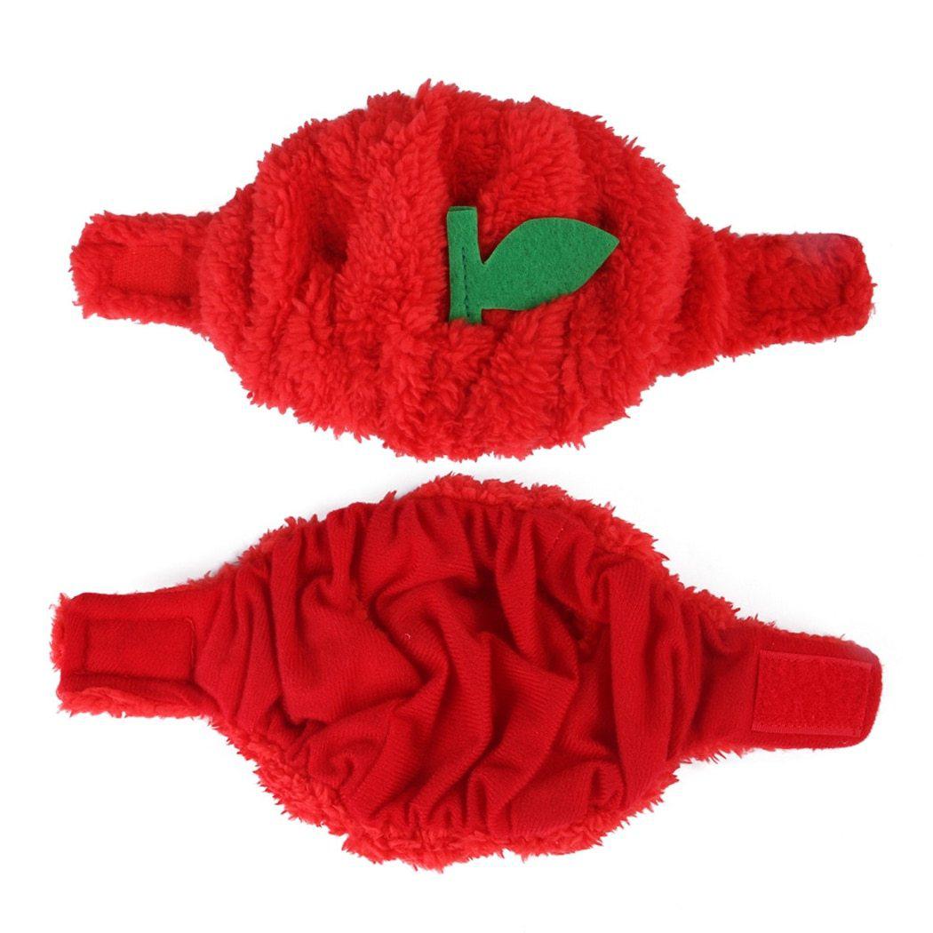 Bob pour Chat Tomate d'Été