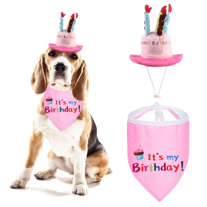 Chapeau pour Chien Anniversaire en Folie