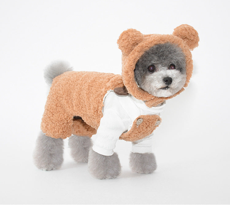 Bonnet pour Chien Oreilles & Costume