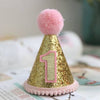 Chapeau pour Chien Birthday Party