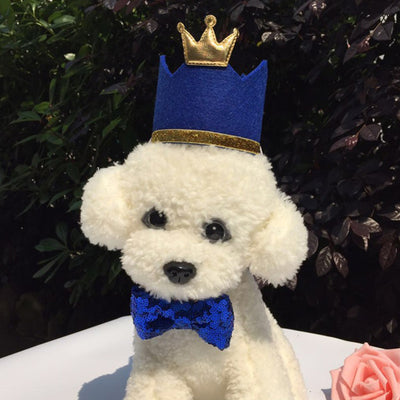 Chapeau couronne anniversaire chien
