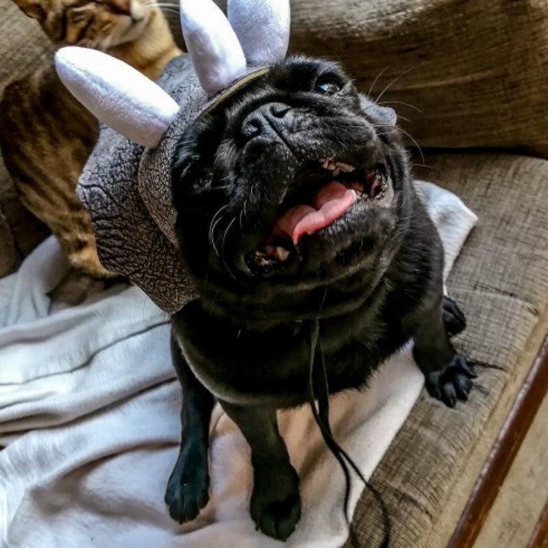 Bonnet pour Chien Tricératops XS