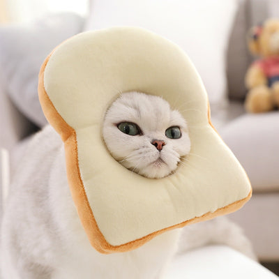 Chapeau pour Chat Cosplay Toast