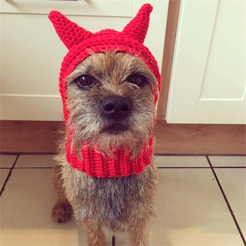 Bonnet pour Chien Diable au Crochet