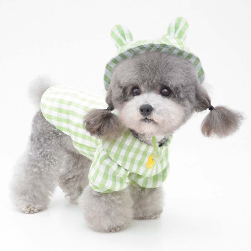 Chapeau pour Chien à Carreaux Vichy & Combinaison