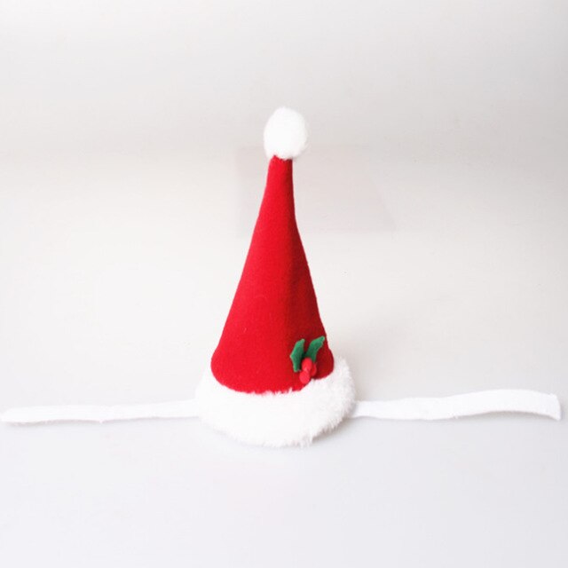 Bonnet pour Chat Mère Noël